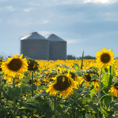 Se oficializó la reducción en las retenciones al campo