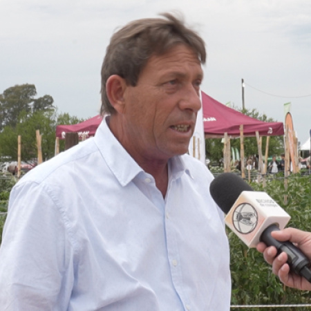 Cómo el ingreso de alimentos importados está afectando la producción hortícola local