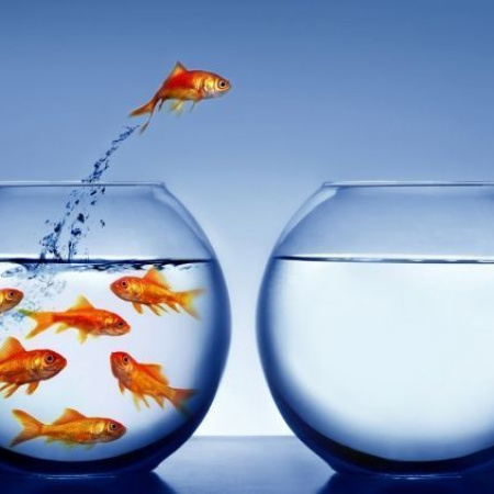 Informe astrológico: Entre estructuras que caen y futuros que nacen