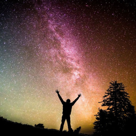 Crónica de una Metamorfosis: El cielo del 1 al 8 de febrero