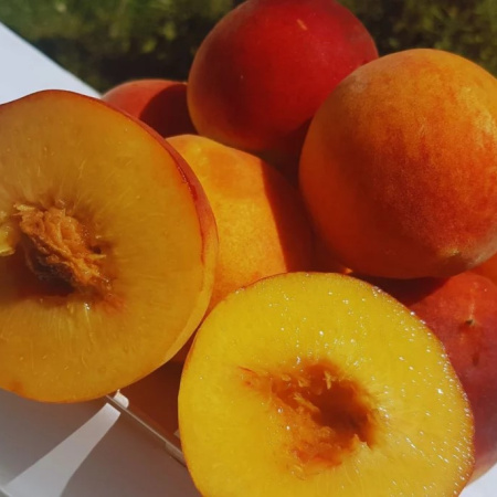 Las nuevas variedades de durazno producidas en San Pedro llegaron al mercado