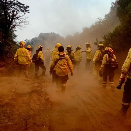Regresaron los brigadistas que colaboraron en el control de incendios en Chubut