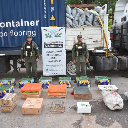 Más de 500 animales silvestres decomisados fueron trasladados al centro La Esmeralda