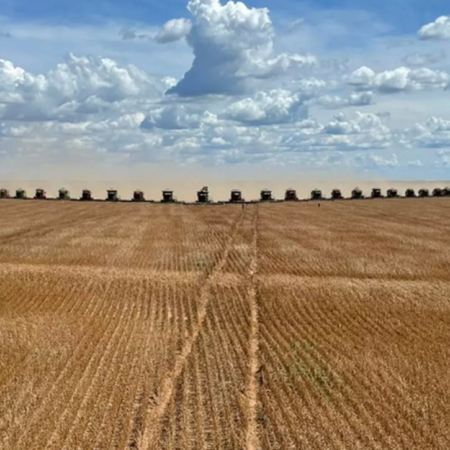 Cosecha récord: 90 cosechadoras levantaron la soja en un lote de Brasil