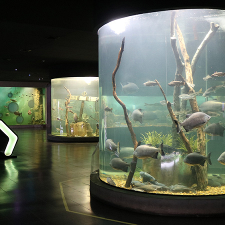 El Acuario del Río Paraná abre la convocatoria 2026 para visitas educativas