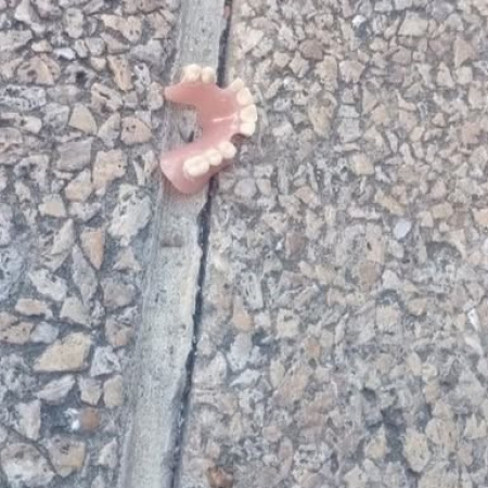 Apareció una dentadura postiza en la vereda de Pasacalle