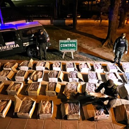 Detectaron un camión que transportaba una tonelada de sábalos sin cadena de frío