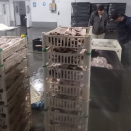 Detectaron irregularidades en frigoríficos pesqueros de Arroyo Seco y Coronda