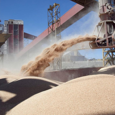 Inscriben a empresas interesadas en exportar cebada, trigo, soja, sorgo y maíz a China