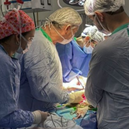 En 72 horas se produjeron cuatro donaciones de órganos en Rosario