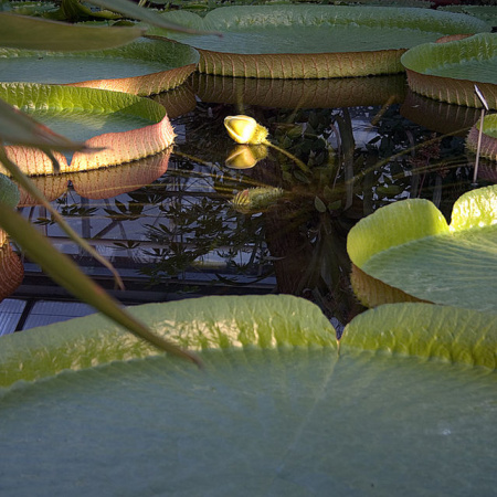 Día Internacional de la Madre Tierra: una fecha para reflexionar sobre el planeta