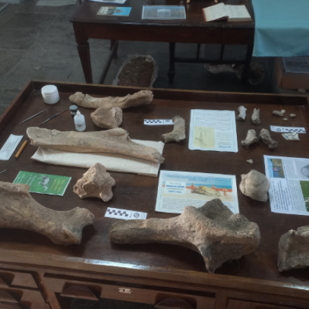 El Museo de la ciudad abrió su agenda 2026 para visitas escolares e institucionales