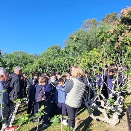 Alumnos de 6° grado de la Escuela Santa Lucía visitaron una finca orgánica
