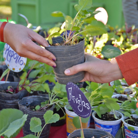 Nueva jornada de Eco Canje en la Plaza 9 de Julio