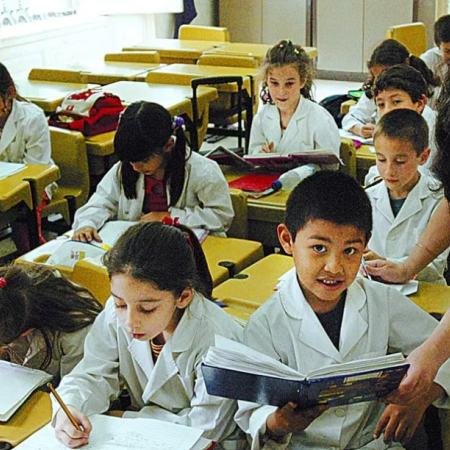 El Plan Raíz mejoró un 22,6 % la lectura de los chicos