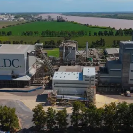 Dreyfus anunció que construirá una planta de molienda de soja y girasol en Bahía Blanca