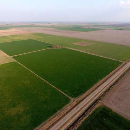 Ley de Tierras: cómo regulan Brasil, Uruguay y Paraguay la compra de campos por extranjeros