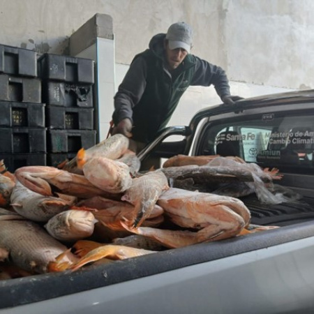 Fuertes operativos contra la pesca ilegal en Santa Fe