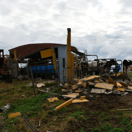 Tornado en Bernardo de Irigoyen: Así quedó el tambo afectado