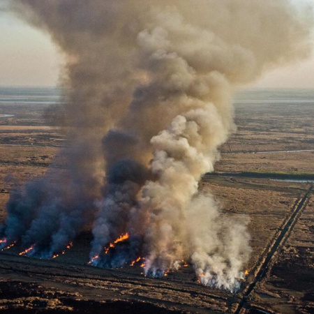 Zona de islas: Detectaron focos de fuego a la altura de Arroyo Seco y San Lorenzo