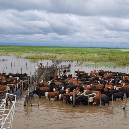 Súper Niño: alertan por posible crecida histórica del Río Paraná