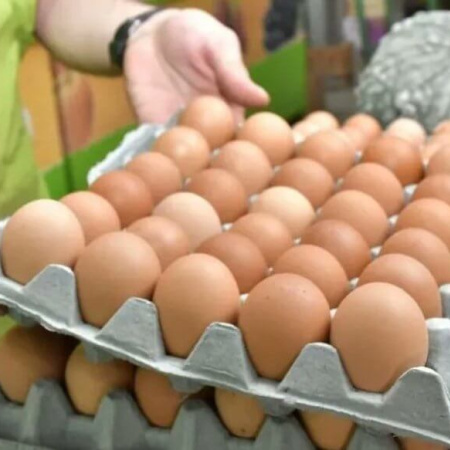Argentina es líder mundial en consumo de huevos