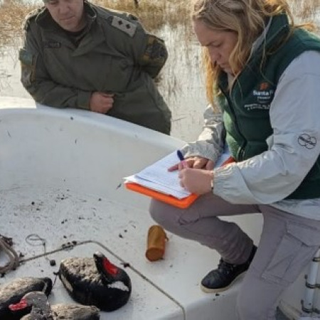 Santa Fe digitalizó las licencias de pesca y este año ya emitió más de 9.000