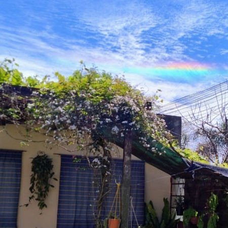 Nubes iridiscentes aparecieron en el cielo de Arroyo Seco